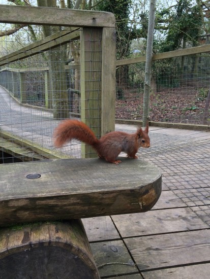 Escot – The Natural Place for Family Fun – Devon