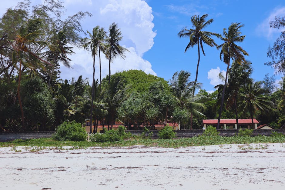 Serene tropical beach with palm trees and lush greenery in Mombasa, Kenya.