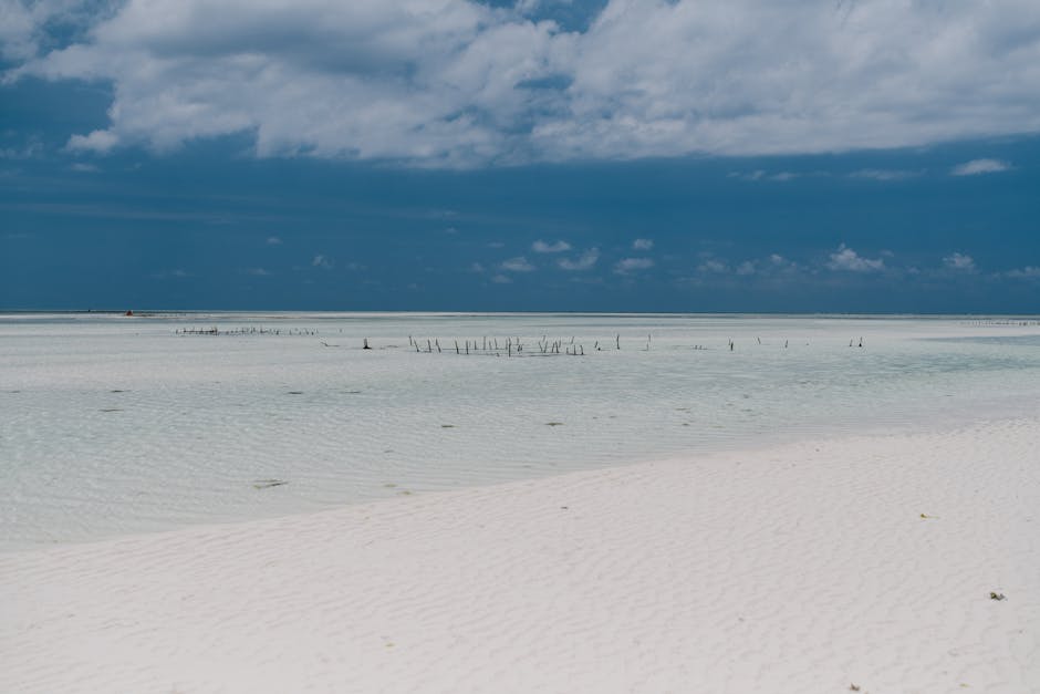 Scenery view of shallow water of sea with sandy bottom and grass under blue with fluffy clouds