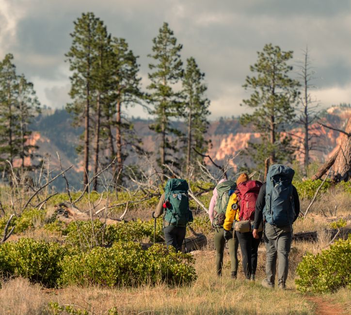 Hiking Navigation Basics: Safe Map, Compass and Phone Backup