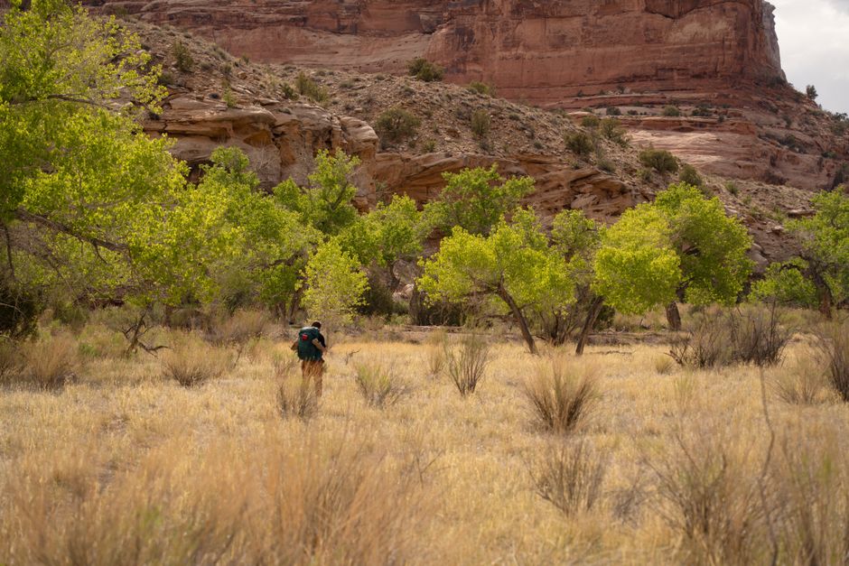 A lone hiker explores the vibrant canyon landscape in Castle Dale, Utah.