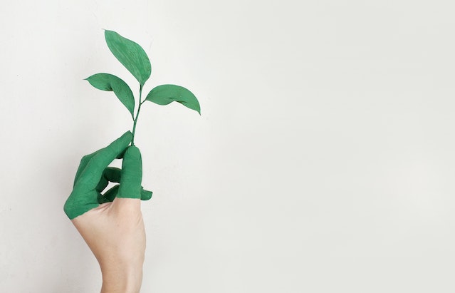 5 Steps to Make Your Home More Eco-Friendly