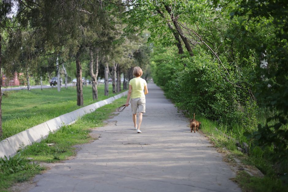 Neighborhood Walking Plans That Beat Tourist Loops