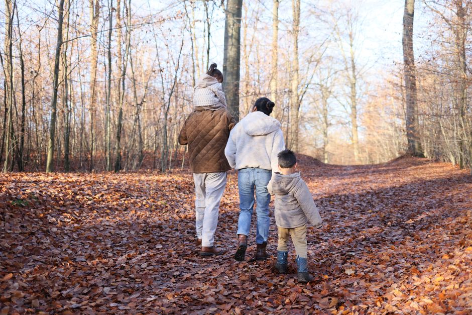 Family enjoys a walk through a forest in autumn, surrounded by fallen leaves.