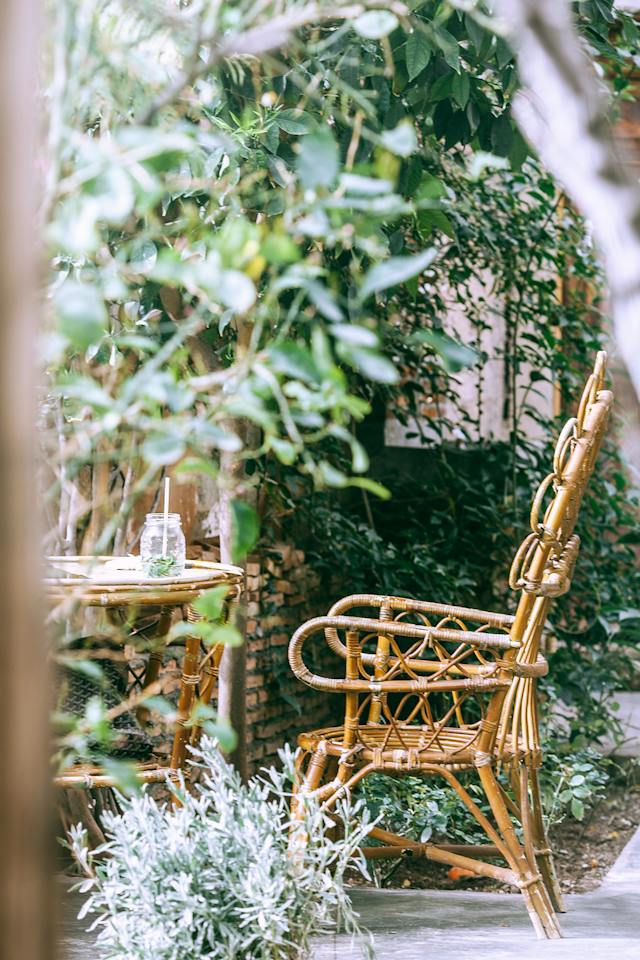 Adding The Biophilia Trend To Your Home