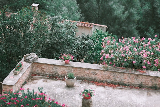 Revamp Your Garden on a Shoestring Budget: Sprucing Up Nature’s Canvas