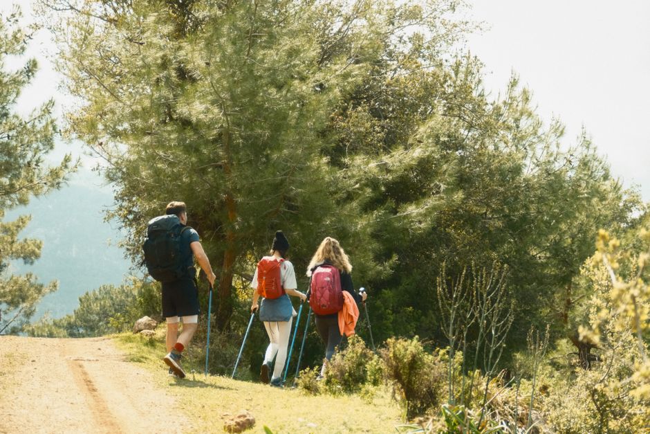 Trekking Poles for Day Hikes: Benefits and Proper Fit