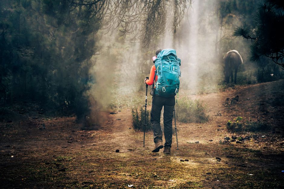 A hiker explores the misty forest trails of Tacaná, Guatemala, embracing adventure.