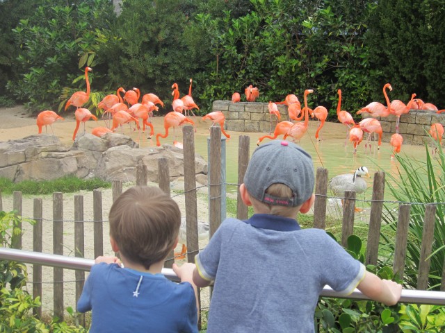 Florida Part 3 – SeaWorld